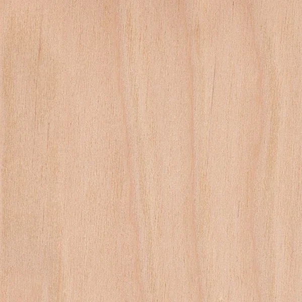 Birch White European