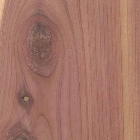Cedar Aromatic