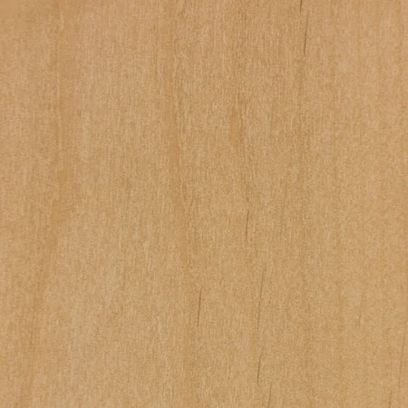 Alder European