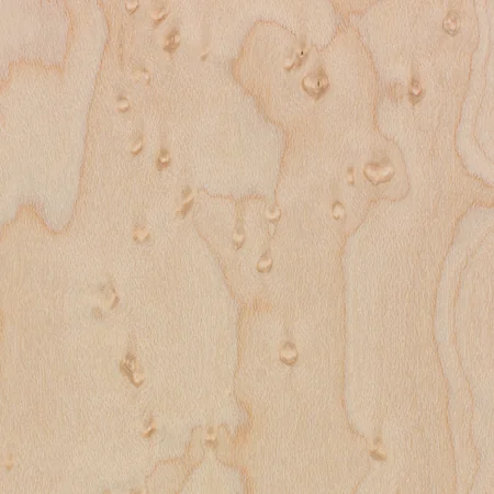 Maple Bird's Eye