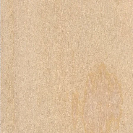 Pine European