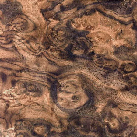 Walnut Burl