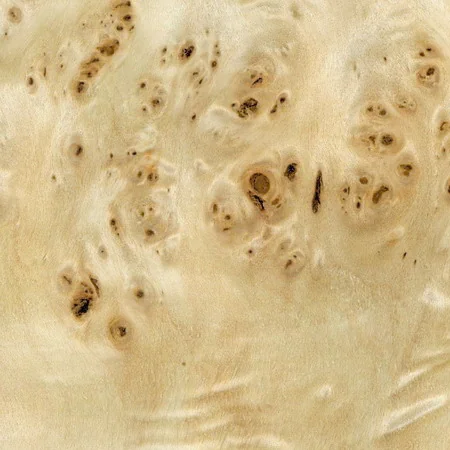 Mappa Burl